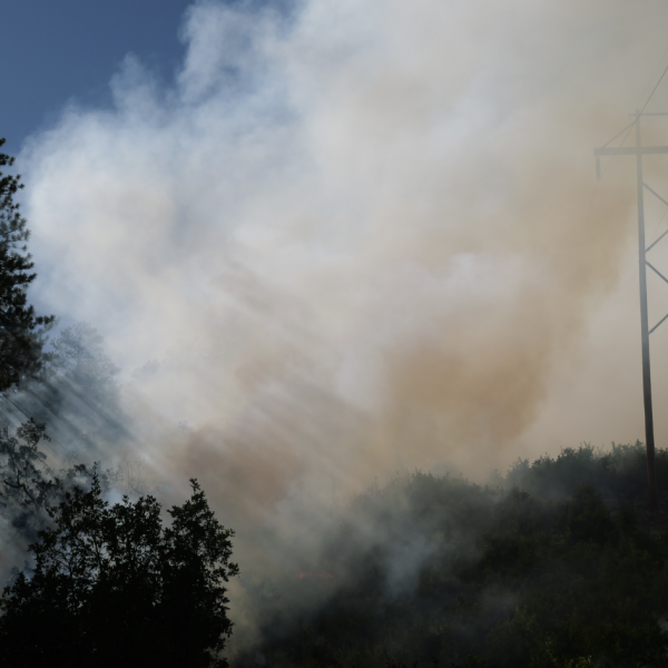 An Evolution in Thinking About Fire: A Panel Discussion